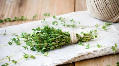 garnishing-instructions-image